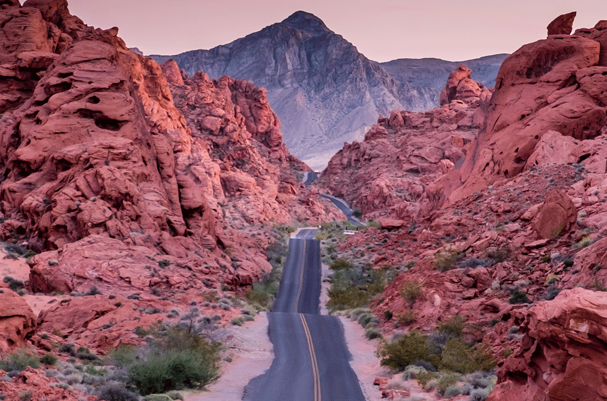 Madhu Shesharam, Unsplash