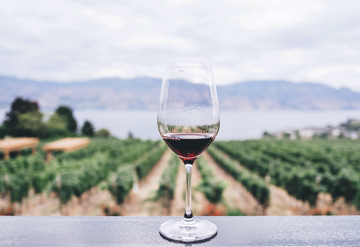 Kym Ellis, Unsplash Kym Ellis, Unsplash