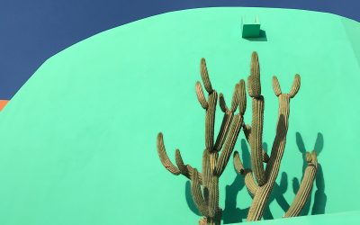 Tu boda a la mexicana