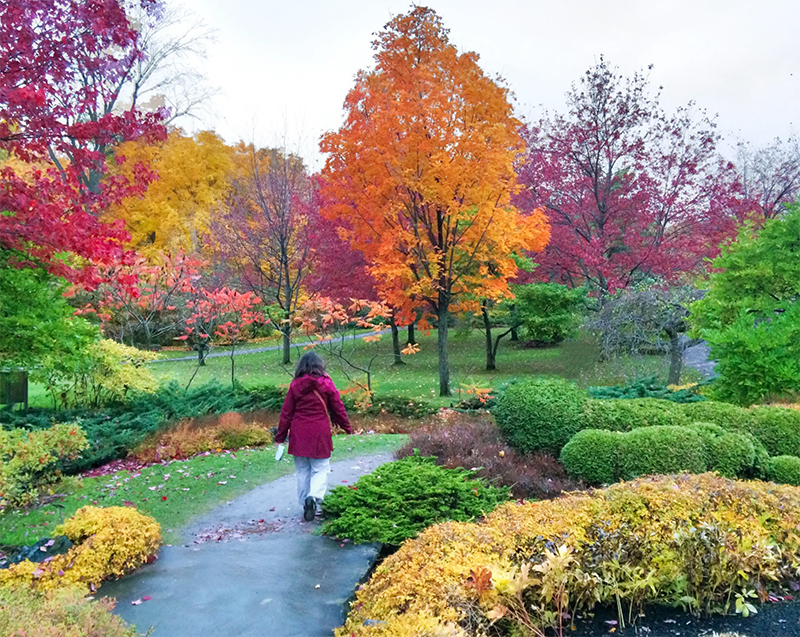 Un imperdible en la ciudad