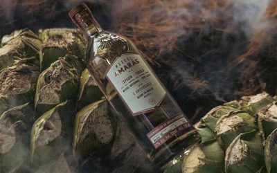 ¡Salud por los novios! Todo lo que debes saber del mezcal