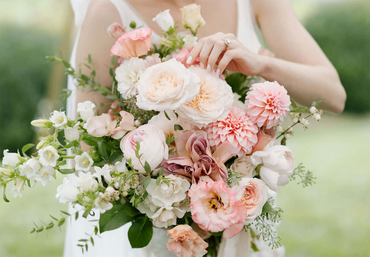 julia-wade.com julia-wade.com