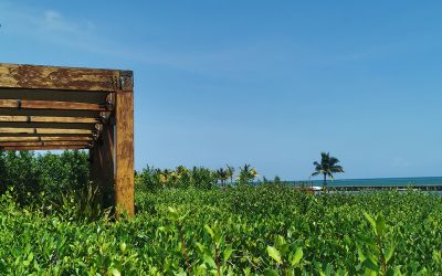 Etéreo, una pausa para el alma