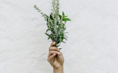 Ingredientes naturales para una piel más linda
