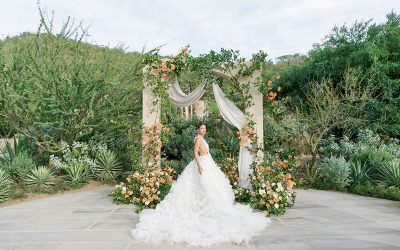 Lo mejor de Los Cabos para el amor